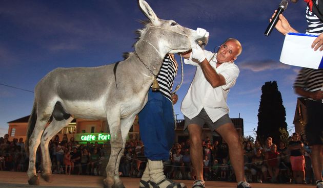 Trka Tovarov – 48. Memorijal Kenje Vijole Sukošan  Photo: Leo Banić