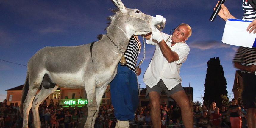 Trka Tovarov – 48. Memorijal Kenje Vijole Sukošan Photo: Leo Banić Trka Tovarov – 48. Memorijal Kenje Vijole Sukošan Photo: Leo Banić