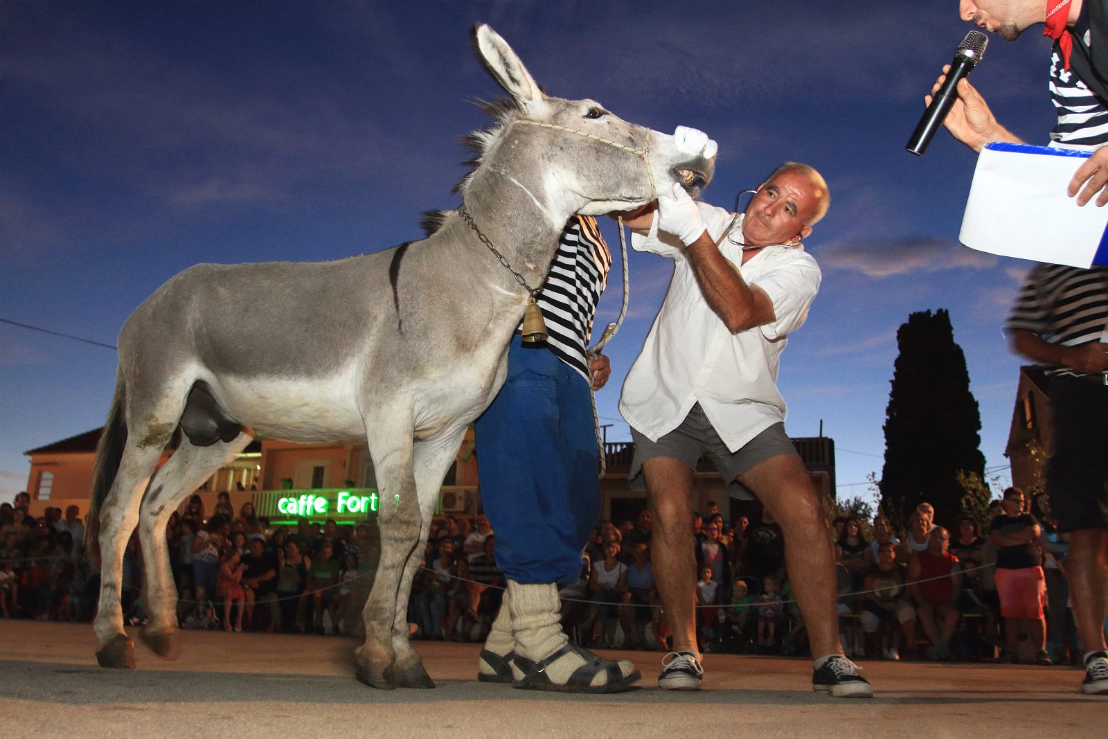 Trka Tovarov – 48. Memorijal Kenje Vijole Sukošan  Photo: Leo Banić