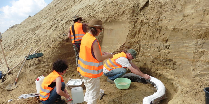 Senzacionalno otkriće u okolici Beča – ostaci mamuta stari preko milijun godina! Senzacionalno otkriće u okolici Beča – ostaci mamuta stari preko milijun godina!