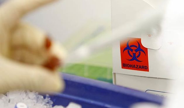 Svinjska gripa (Foto: Reuters)