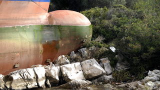 Image 1057539 (auto)