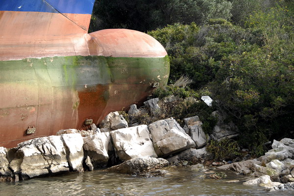 Image 1057539 (auto)