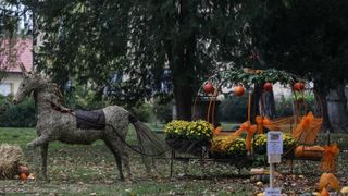 12. Bučijada u Ivanić-Gradu. Photo: Igor Soban/PIXSELL 12. Bučijada u Ivanić-Gradu. Photo: Igor Soban/PIXSELL