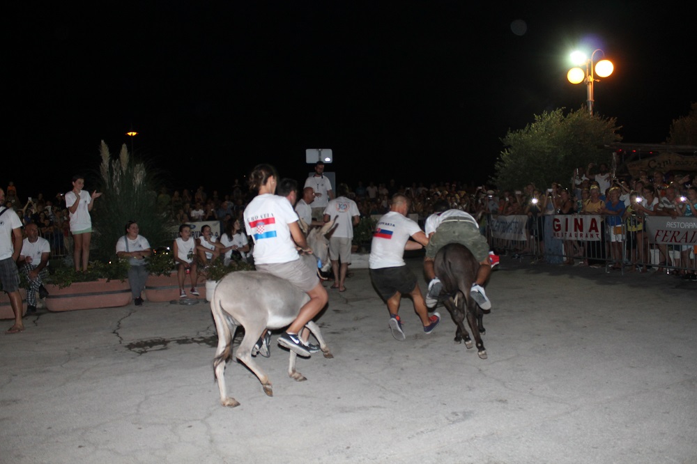 10. međunarodna trka tovarov Tisno 2015