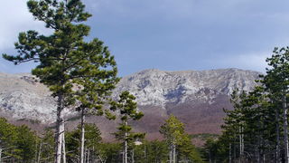 Veliko Rujno – Buljma – Struge