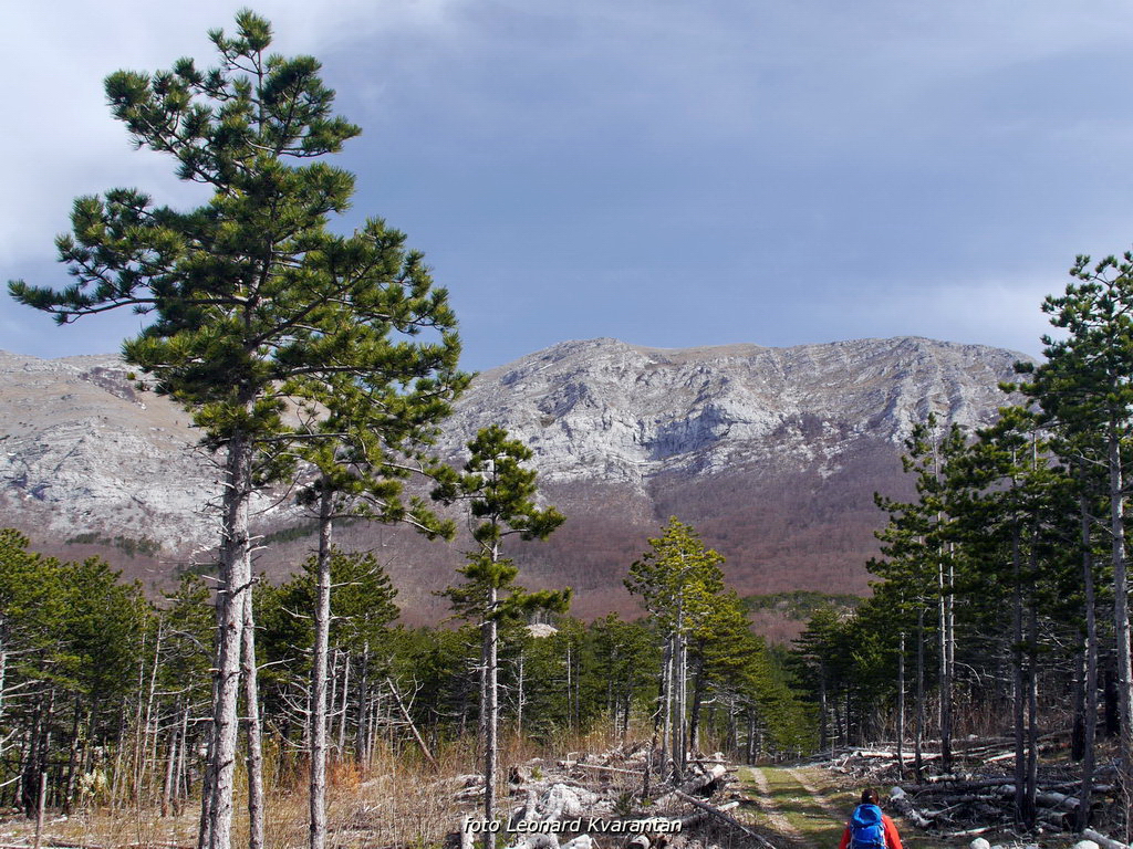Veliko Rujno – Buljma – Struge