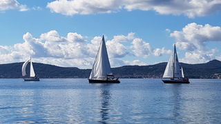 Zadarska Koka 2016. 22. listopada 2016. Foto: Mladen Malik Zadarska Koka 2016. 22. listopada 2016. Foto: Mladen Malik