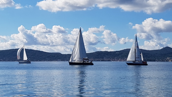 Zadarska Koka 2016. 22. listopada 2016. Foto: Mladen Malik Zadarska Koka 2016. 22. listopada 2016. Foto: Mladen Malik