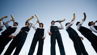 51. Saljske užance, 8. kolovoza 2010. (foto:Saša Čuka)