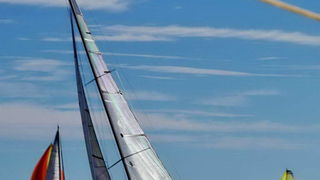 Regata Zadarska Koka 2015. Regata Zadarska Koka 2015.