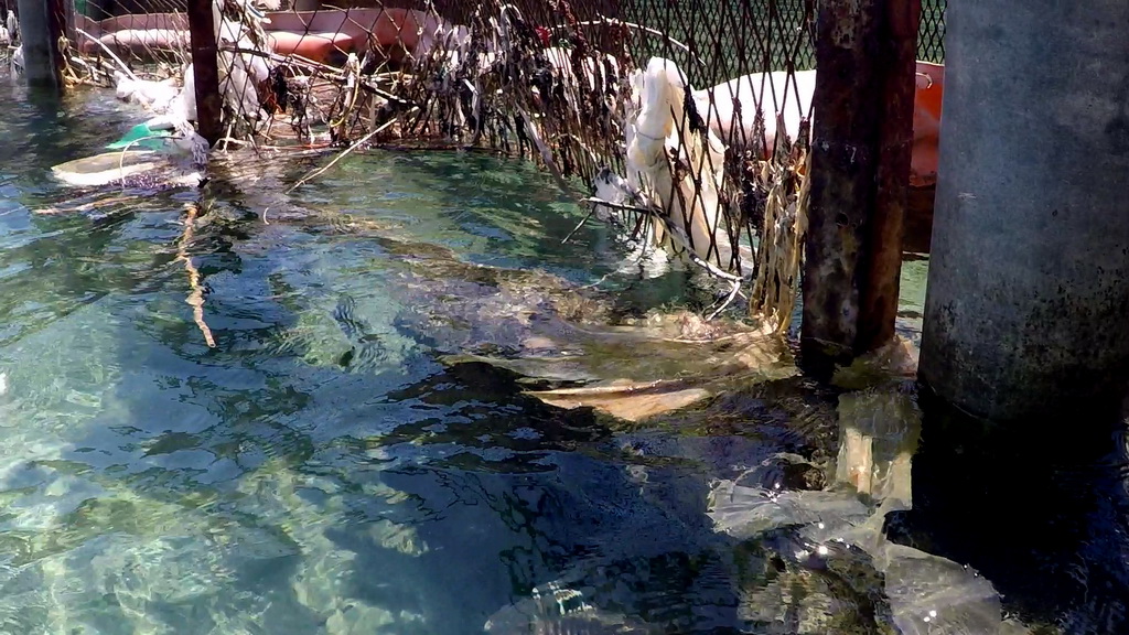 Greenpeace upozorava na problem bacanje plastike u more Greenpeace upozorava na problem bacanje plastike u more