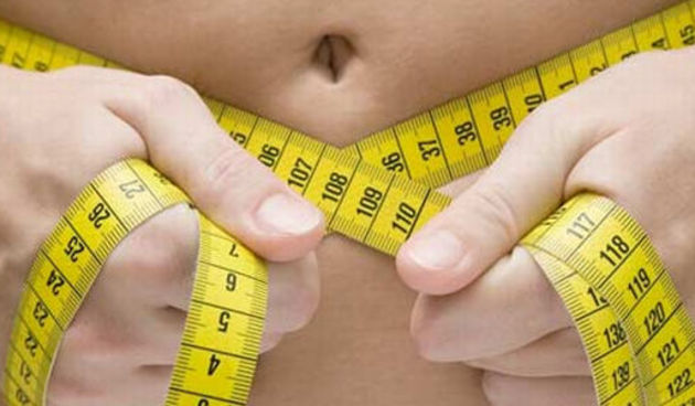 Pretilost (index.hr)