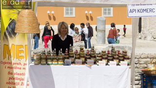 Đir po gradu 29. travnja 2017.