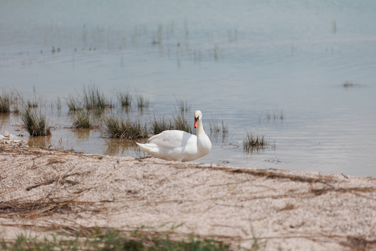 Materine užance @ kamp Crkvine, Vransko jezero Materine užance @ kamp Crkvine, Vransko jezero