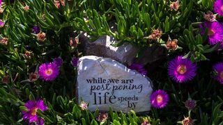 Nedjeljnja šetnja od Dikla do Pinije, Foto: Mladen Radolović Mrlja Nedjeljnja šetnja od Dikla do Pinije, Foto: Mladen Radolović Mrlja