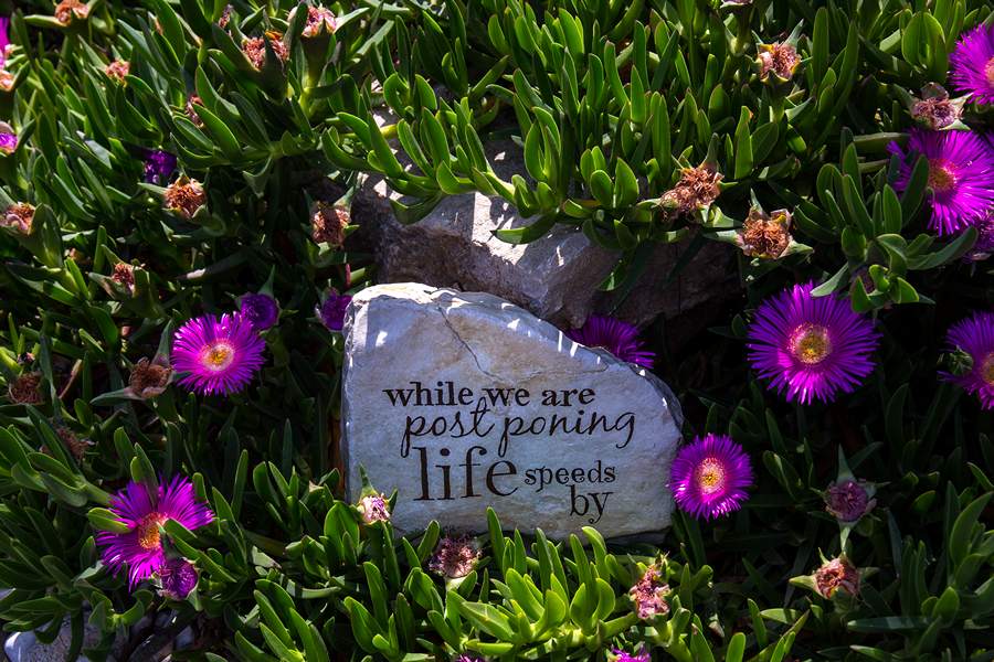 Nedjeljnja šetnja od Dikla do Pinije, Foto: Mladen Radolović Mrlja Nedjeljnja šetnja od Dikla do Pinije, Foto: Mladen Radolović Mrlja