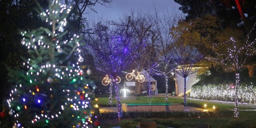 Adventsko uređenje perivoja Jelene Madijevke i trga Petra Zoranića, foto: Filip Brala/PIXSELL