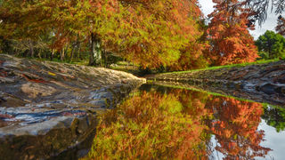 Jesenski đir po gradu, 15. studenog 2014. , foto: Marin Pitton Jesenski đir po gradu, 15. studenog 2014. , foto: Marin Pitton