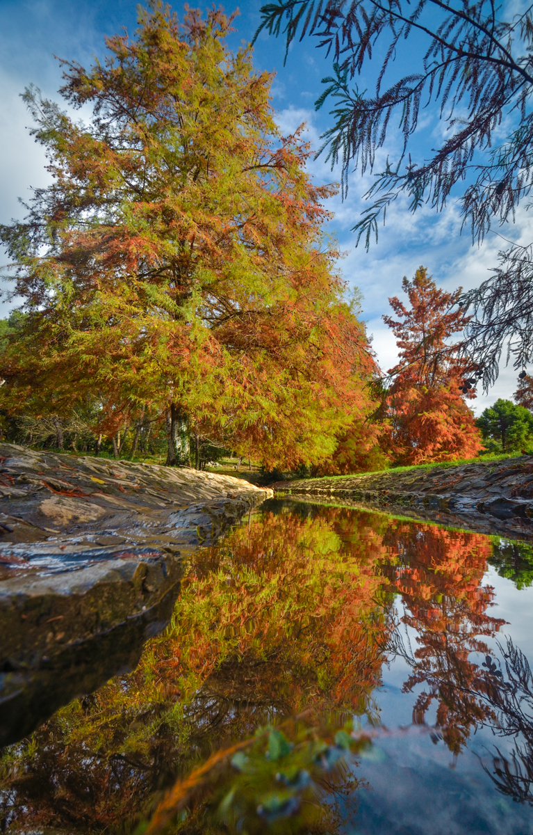 Jesenski đir po gradu, 15. studenog 2014. , foto: Marin Pitton Jesenski đir po gradu, 15. studenog 2014. , foto: Marin Pitton