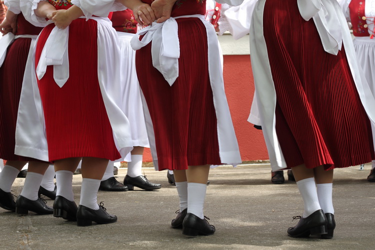 Sveti Filip i Jakov: 11. Dani cvijeca Zadarske zupanije, Foto: Martin Brkljaca Sveti Filip i Jakov: 11. Dani cvijeca Zadarske zupanije, Foto: Martin Brkljaca