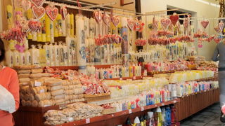 Hodocasce zupljana zupe Bl. Alojzija Stepinca u Krasic, Mariju Bistricu i zagreb, Foto: Darko Dilber