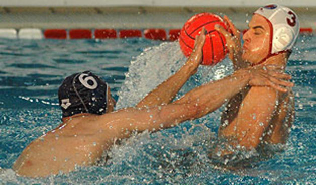 Image 1206771 (auto)