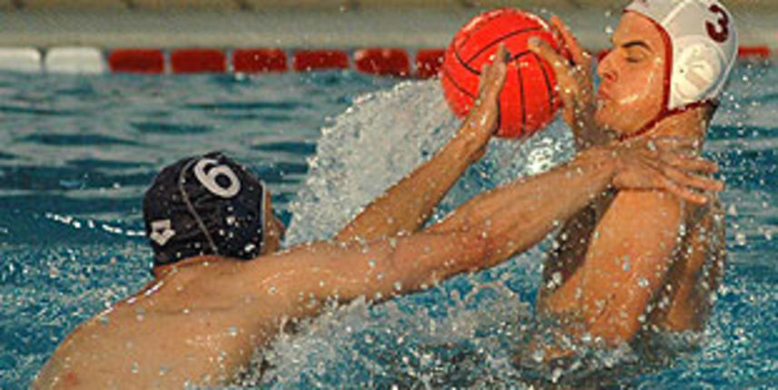 Image 1206771 (auto) Image 1206771 (auto)