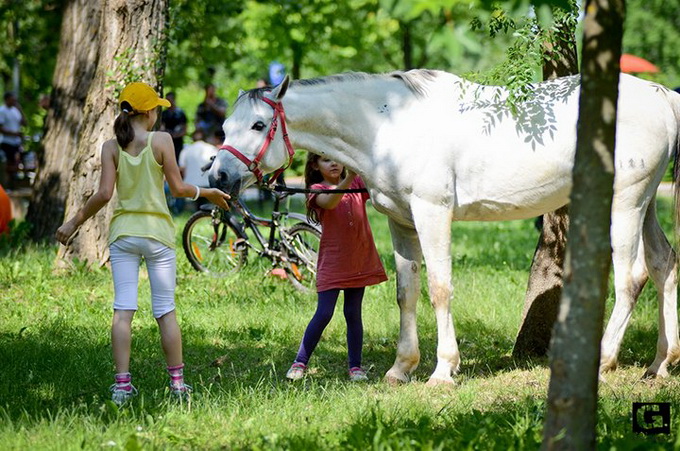 Jelena Rozga oduševila je brojnu publiku drugog dana Jarun Piknik Festivala. Nirvana kao i stari Jelenini hitovi rasplesali su tisuće posjetitelja na Otoku hrvatske mladeži