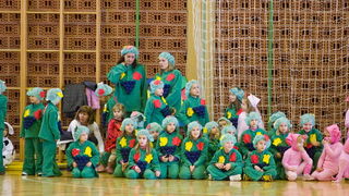 Biograd na Moru: Djecji karneval 6. veljace 2010, Foto: Franjo Juric