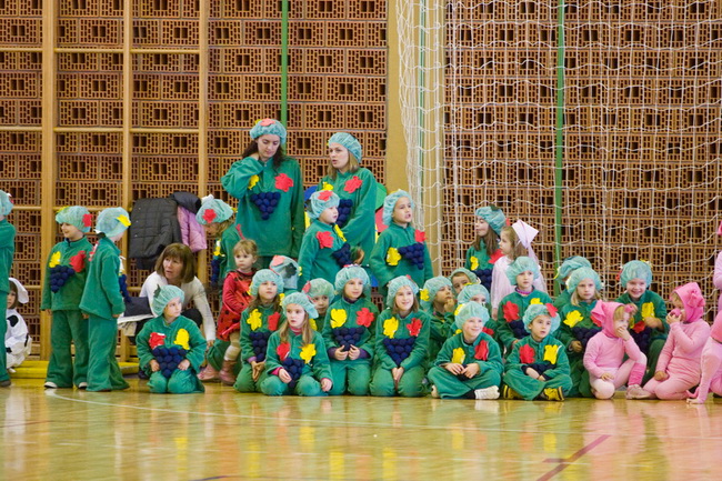 Biograd na Moru: Djecji karneval 6. veljace 2010, Foto: Franjo Juric