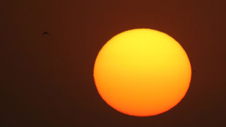 Image 1207459 (auto)