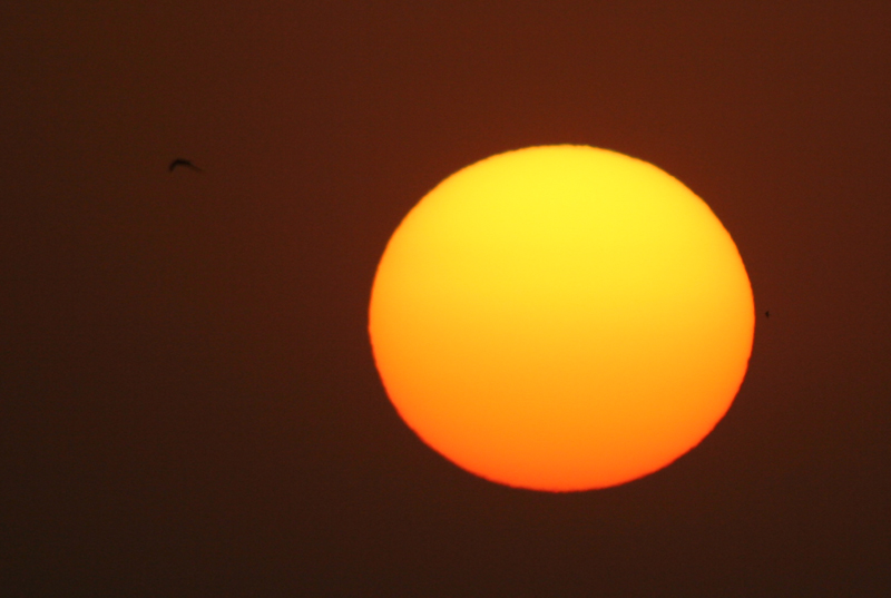 Image 1207459 (auto)