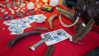 U Domu sportova odrzava se 18. Medjunarodni sajam dragog i poludragog kamenja – Mineral Expo Zagreb. Kao i svake godine razni medjunarodni izlagaci ponudili su posjetiteljima nakit i ukrasne predmete od dragog i poludragog kamenja, bisera i koralja, te ne U Domu sportova odrzava se 18. Medjunarodni sajam dragog i poludragog kamenja – Mineral Expo Zagreb. Kao i svake godine razni medjunarodni izlagaci ponudili su posjetiteljima nakit i ukrasne predmete od dragog i poludragog kamenja, bisera i koralja, te ne