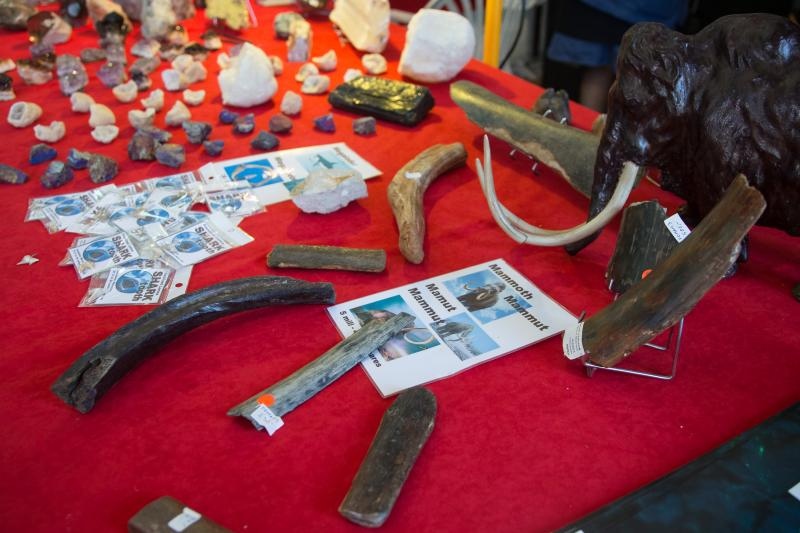 U Domu sportova odrzava se 18. Medjunarodni sajam dragog i poludragog kamenja – Mineral Expo Zagreb. Kao i svake godine razni medjunarodni izlagaci ponudili su posjetiteljima nakit i ukrasne predmete od dragog i poludragog kamenja, bisera i koralja, te ne U Domu sportova odrzava se 18. Medjunarodni sajam dragog i poludragog kamenja – Mineral Expo Zagreb. Kao i svake godine razni medjunarodni izlagaci ponudili su posjetiteljima nakit i ukrasne predmete od dragog i poludragog kamenja, bisera i koralja, te ne