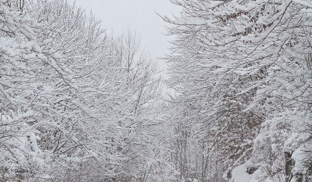 Đir Likom u objektivu Lea Banića, snijeg