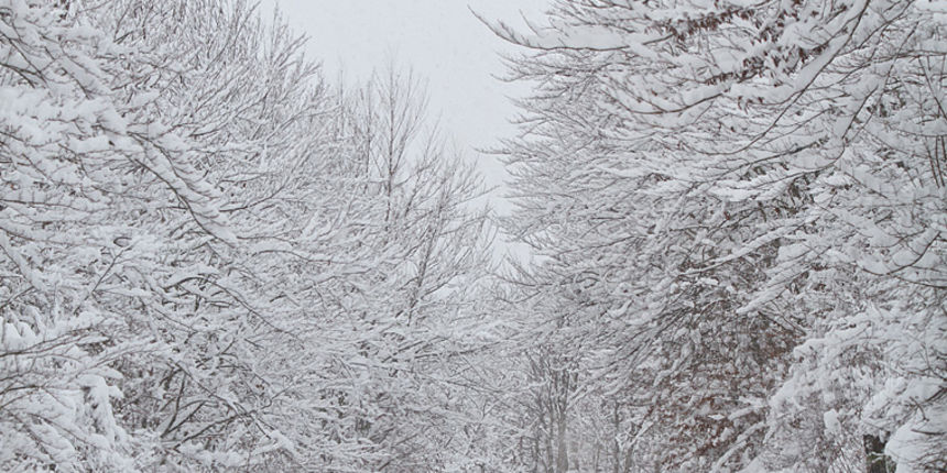 Đir Likom u objektivu Lea Banića, snijeg Đir Likom u objektivu Lea Banića, snijeg