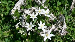 4. planinarski pohod “Hajdemo do Vrane” u organizaciji PD Belveder