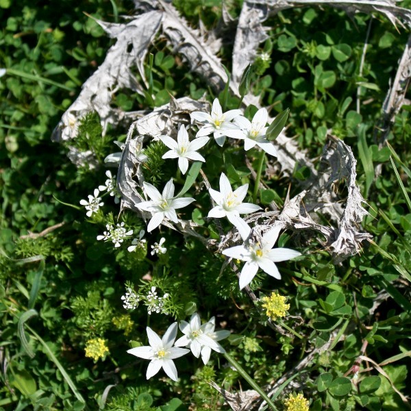 4. planinarski pohod “Hajdemo do Vrane” u organizaciji PD Belveder