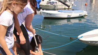 Ekološka akcija “Daj ruku za Jazine” Ekološka akcija “Daj ruku za Jazine”