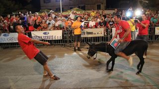 Tisno: 7. Međunarodna trka tovarov, Foto: Edin Kadić Tisno: 7. Međunarodna trka tovarov, Foto: Edin Kadić