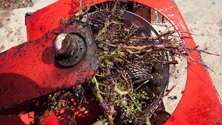 Priča o vinu: Od trsa do bačve, Foto: Leo Banić