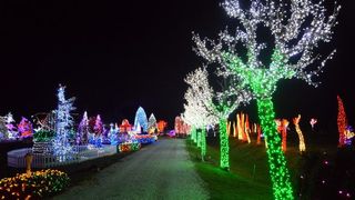 Dva milijuna lampica za božićnu čaroliju na imanju Salaj