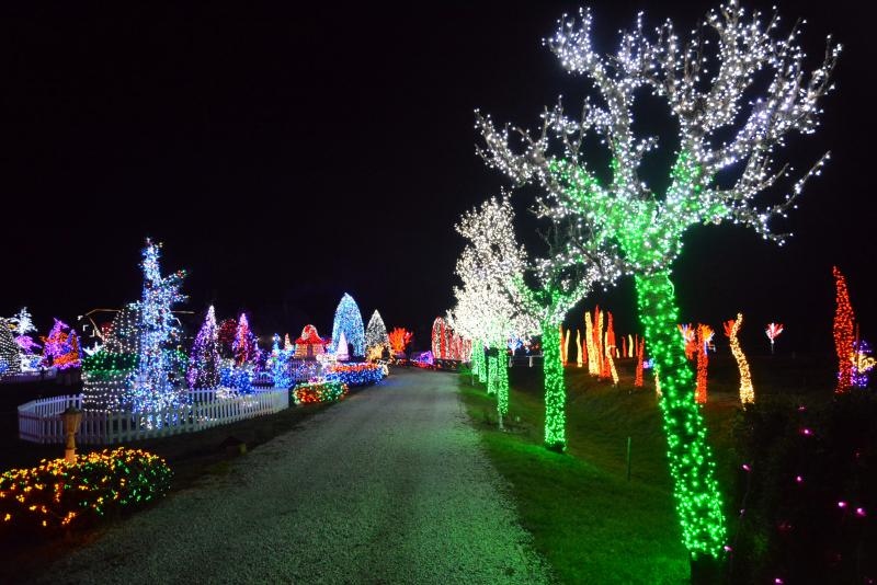 Dva milijuna lampica za božićnu čaroliju na imanju Salaj