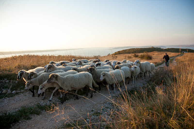 Đir do Ljupča, foto: Darko Belančić