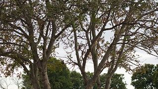 Farma “Dar-mar” (foto:Saša Čuka)