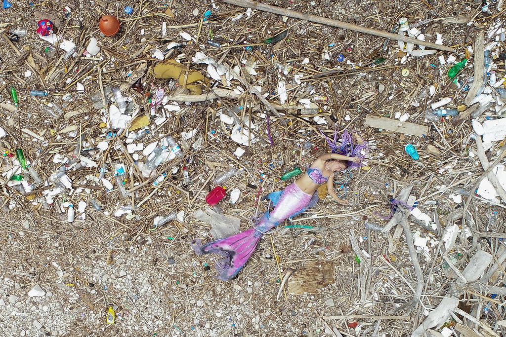 Mljet: Nasukana morska sirena Mljet: Nasukana morska sirena