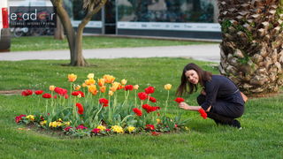 Đir po gradu, četvrtak 19. travnja 2018. Cvijeće, tulipani Đir po gradu, četvrtak 19. travnja 2018. Cvijeće, tulipani