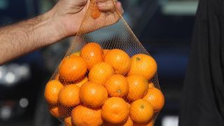 Mandarine na šibesnkoj