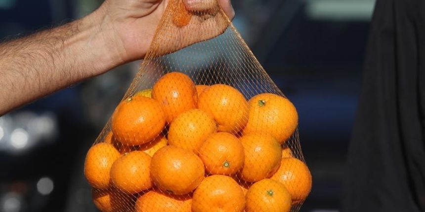 Mandarine na šibesnkoj